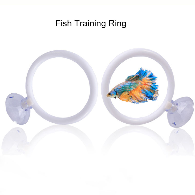 1pcs Plastic Fish Tank Aquariu - đánh giá và giá Gymnastic Ring